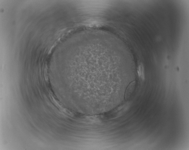 X0000051891396200507081927