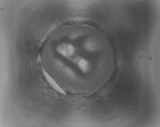 X0000051891397200507081927