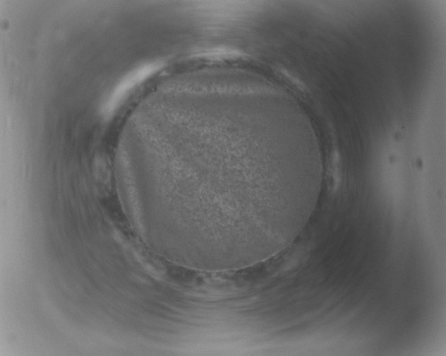 X0000051891398200507081927