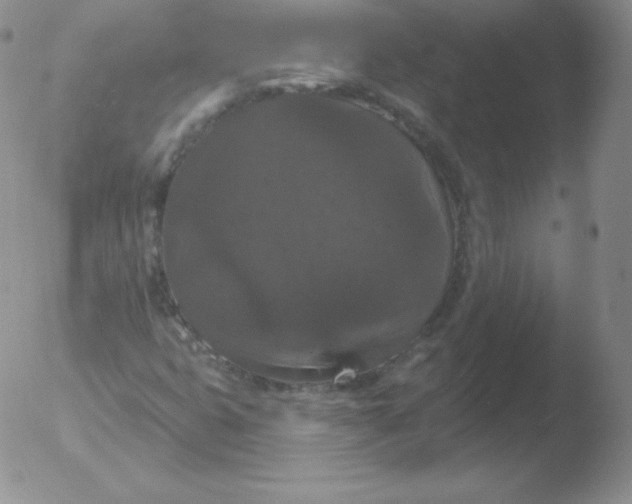 X0000051891399200507081927