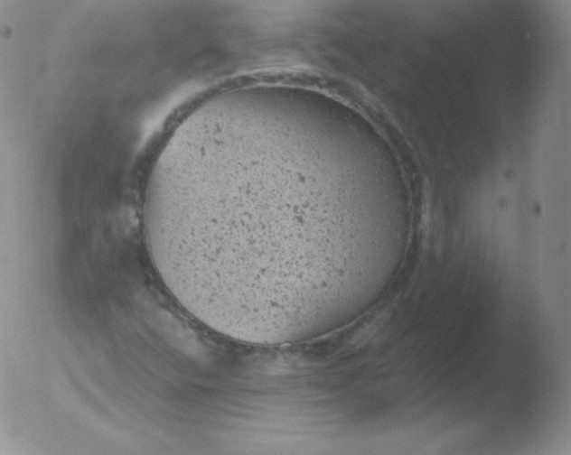 X0000051891400200507081927