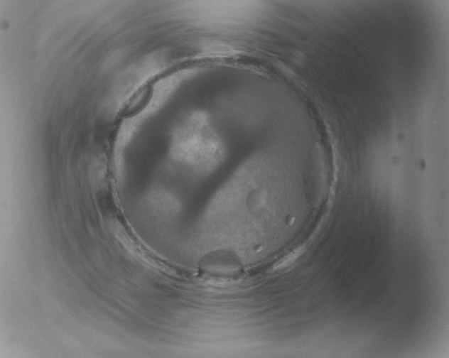 X0000051891401200507081927