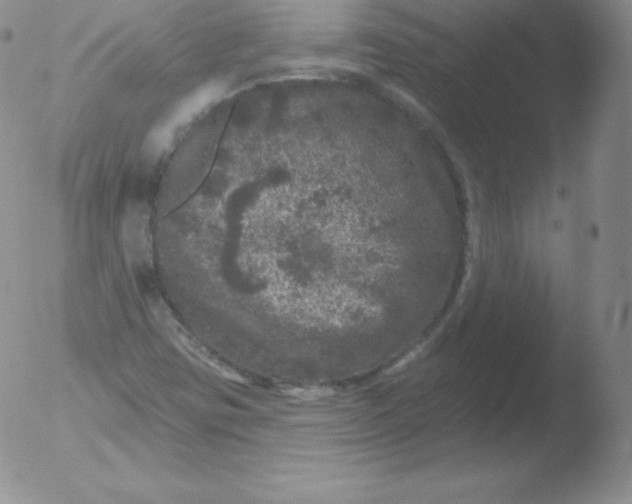 X0000051891403200507081927