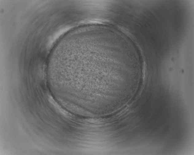 X0000051891404200507081927