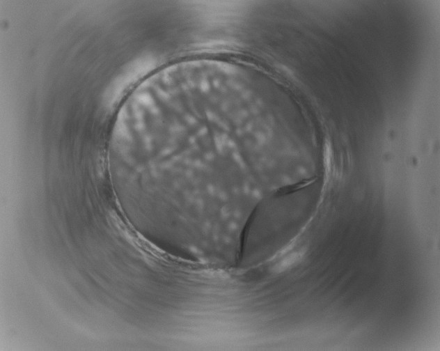 X0000051891405200507081927