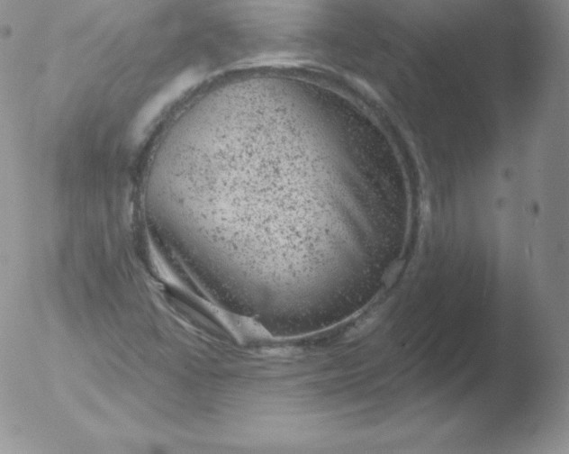 X0000051891406200507081927