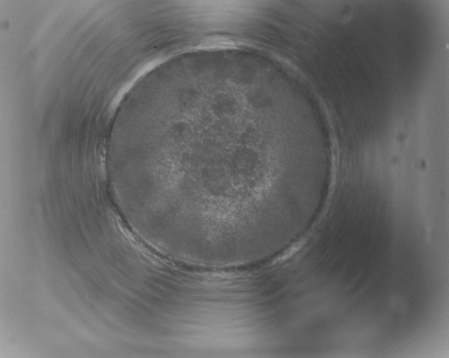 X0000051891409200507081927