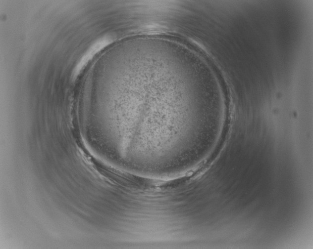 X0000051891410200507081927