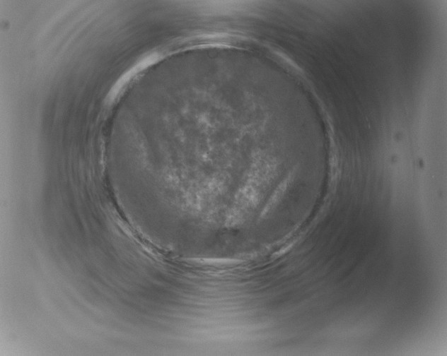 X0000051891411200507081927