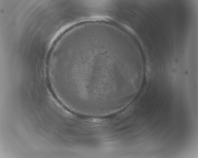 X0000051891412200507081927