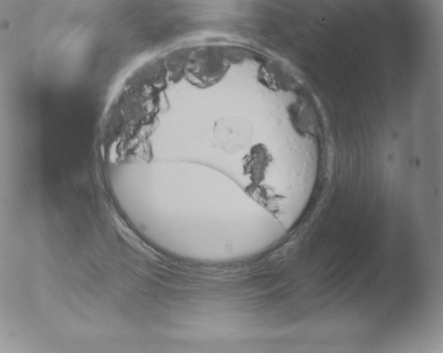 X0000051891413200507081927