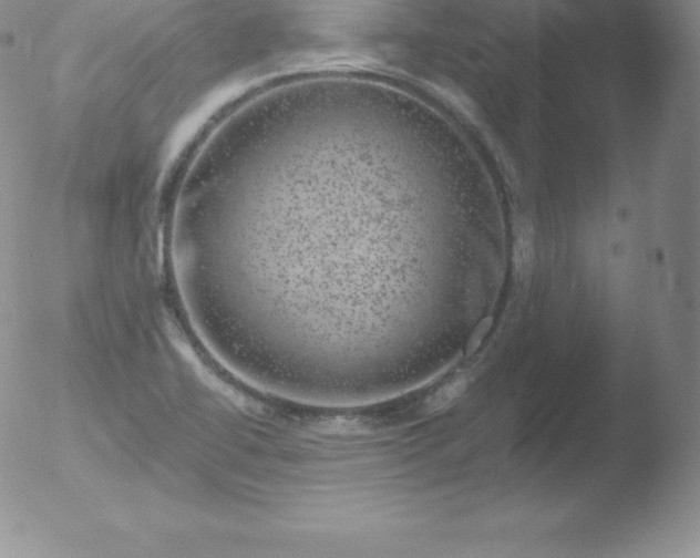 X0000051891414200507081927