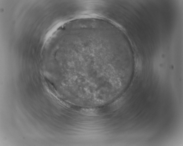 X0000051891415200507081927