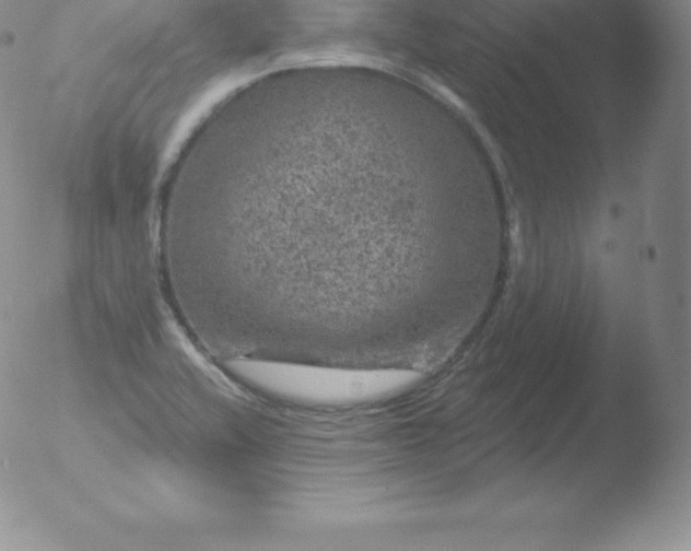 X0000051891416200507081927