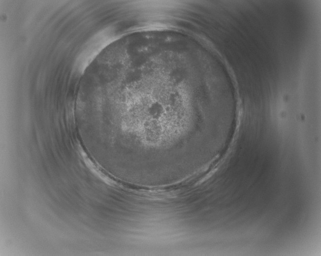 X0000051891417200507081927