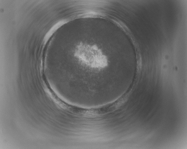 X0000051891418200507081927