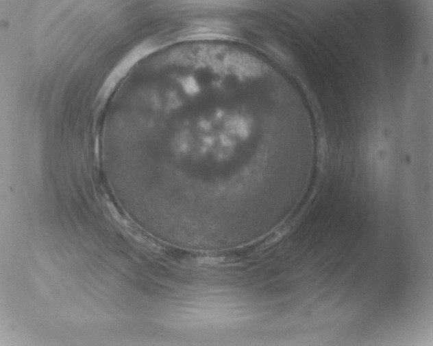 X0000051891419200507081927