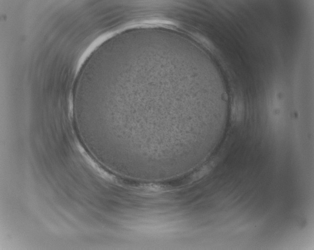 X0000051891420200507081927