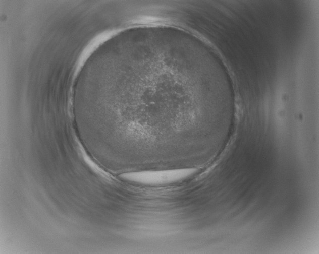 X0000051891421200507081927