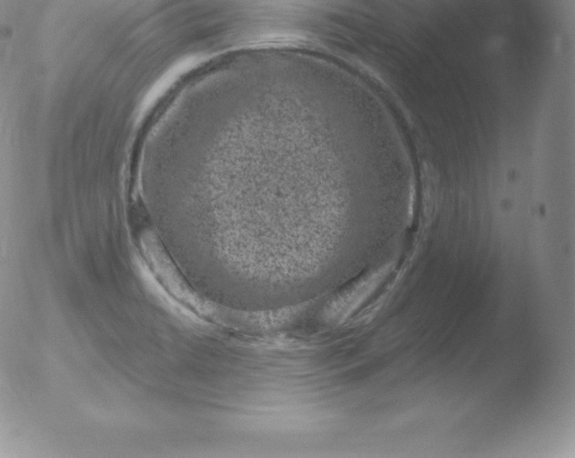 X0000051891422200507081927