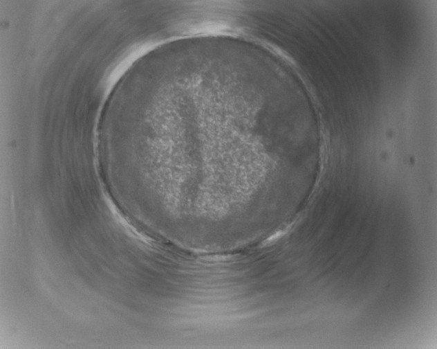 X0000051891423200507081927