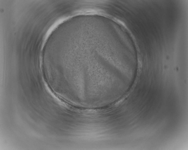 X0000051891424200507081927