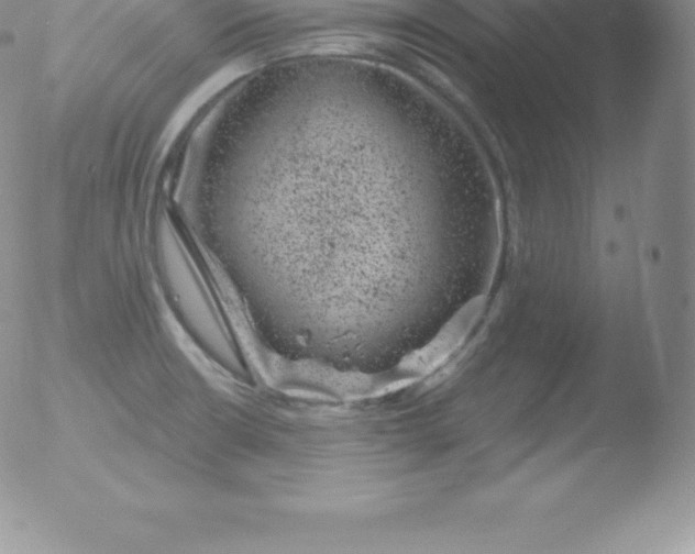 X0000051891426200507081927