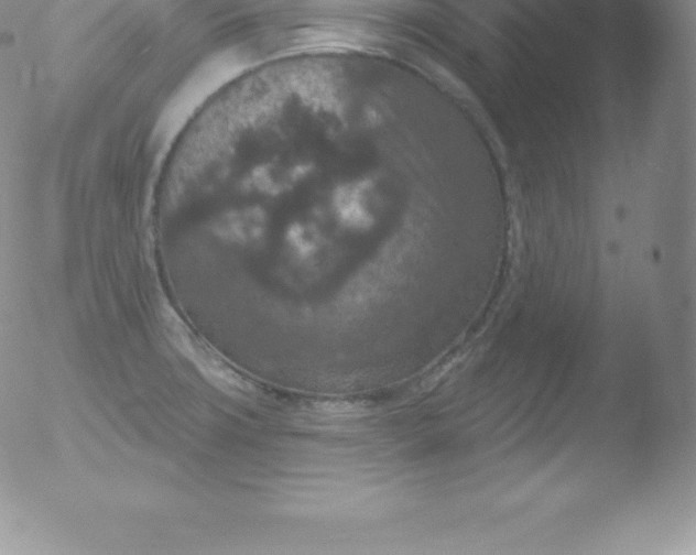 X0000051891427200507081927