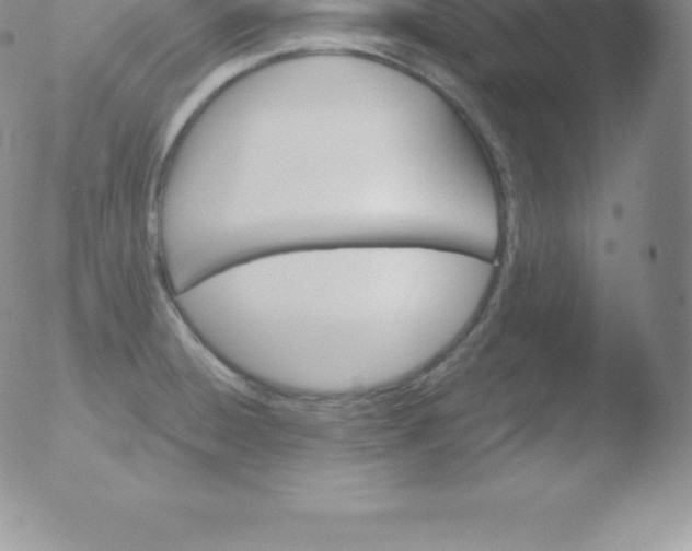 X0000051891428200507081927