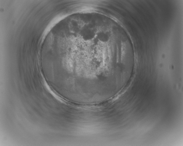 X0000051891429200507081927