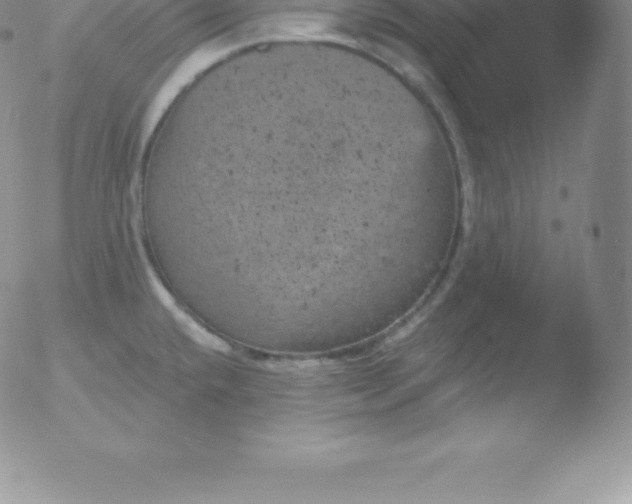 X0000051891432200507081927