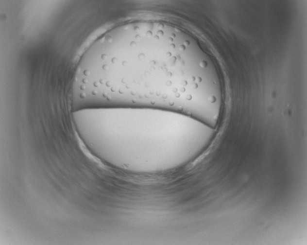 X0000051891433200507081927