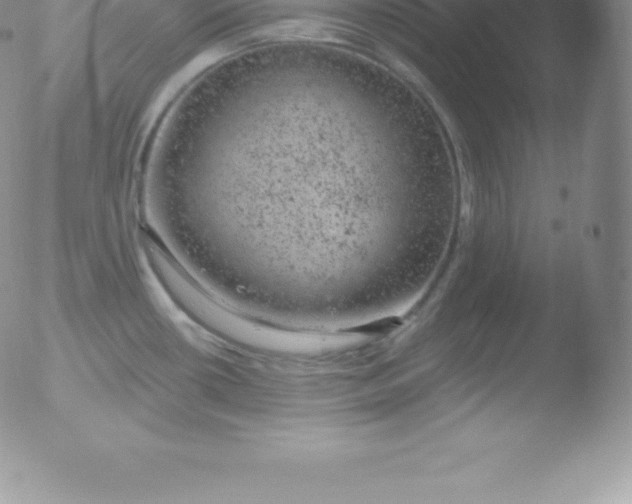 X0000051891434200507081927