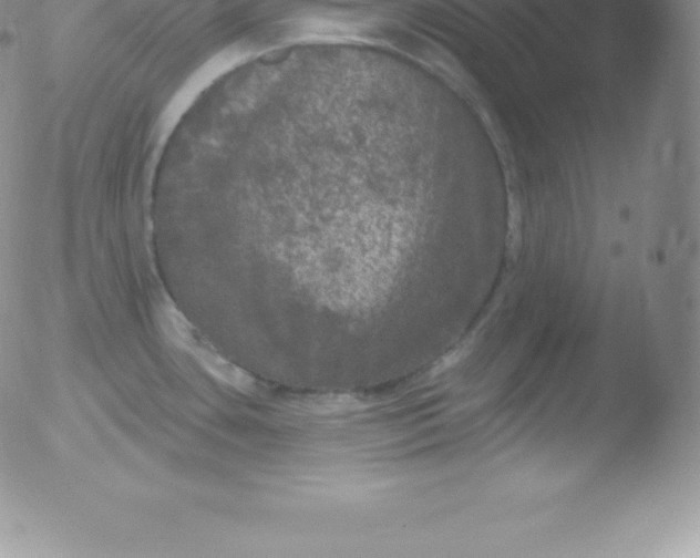 X0000051891435200507081927