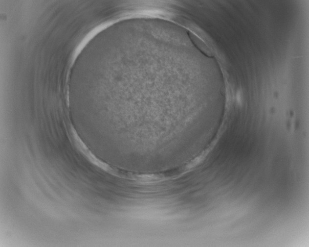 X0000051891436200507081927