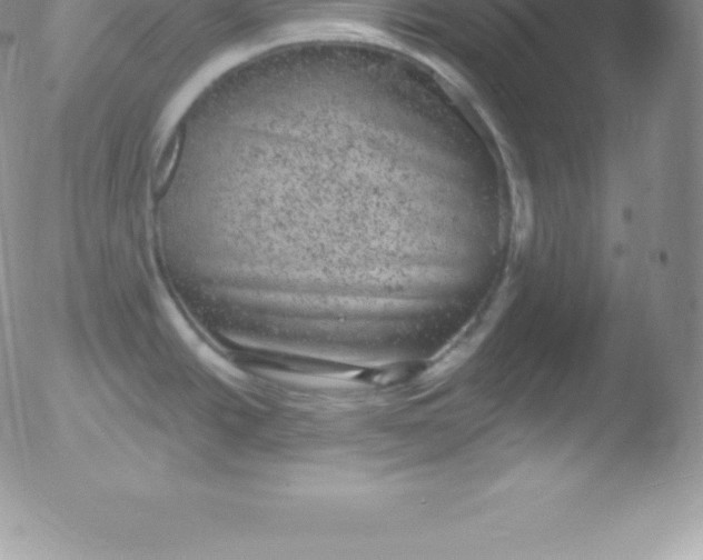 X0000051891438200507081927