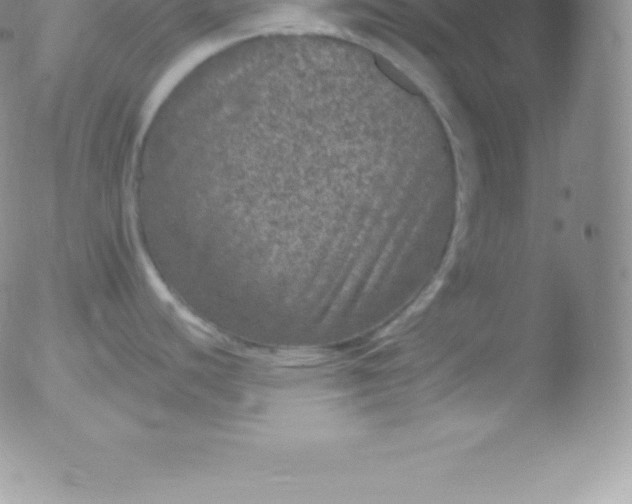 X0000051891440200507081927