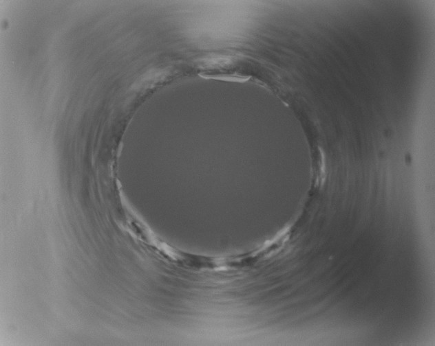 X0000051891441200507081927