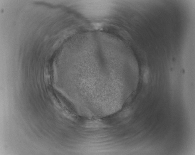 X0000051891442200507081927