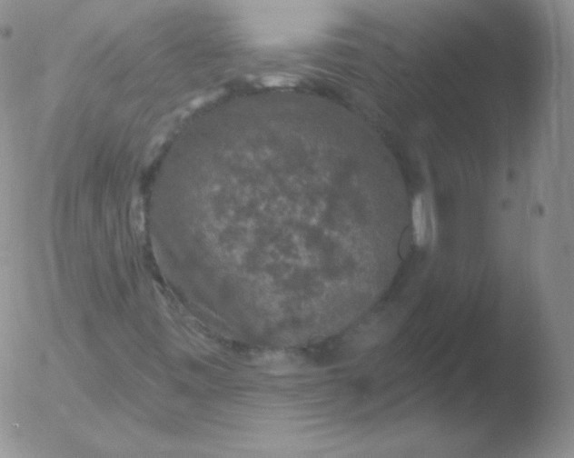 X0000051891443200507081927