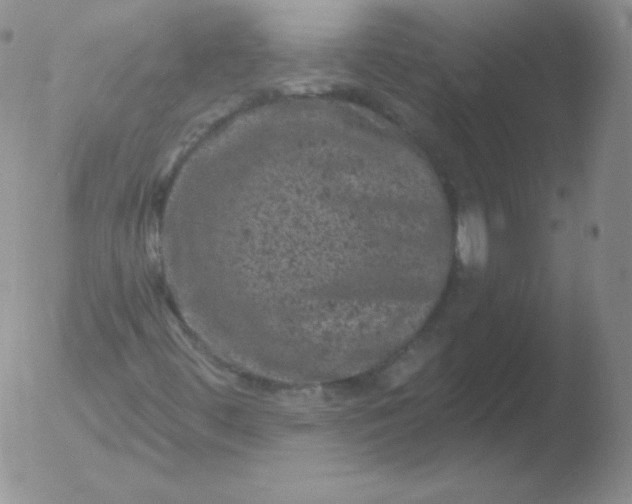 X0000051891444200507081927