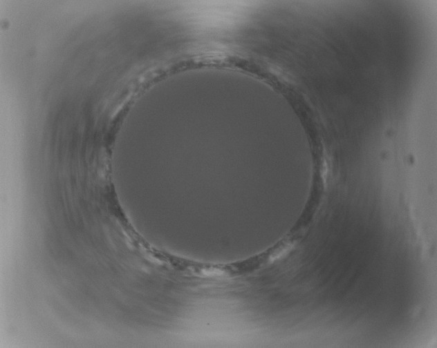 X0000051891445200507081927