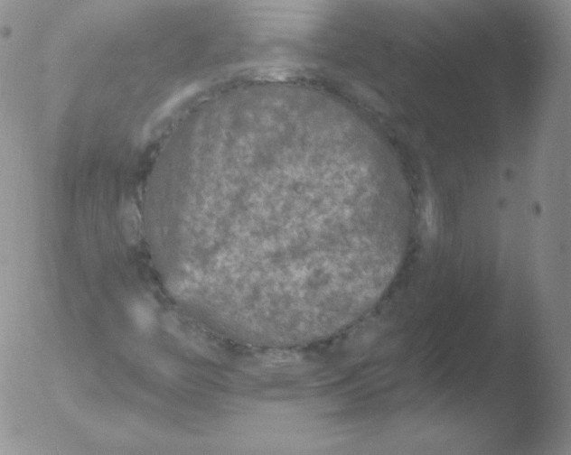 X0000051891446200507081927