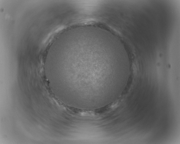 X0000051891447200507081927