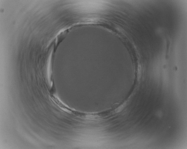 X0000051891449200507081927