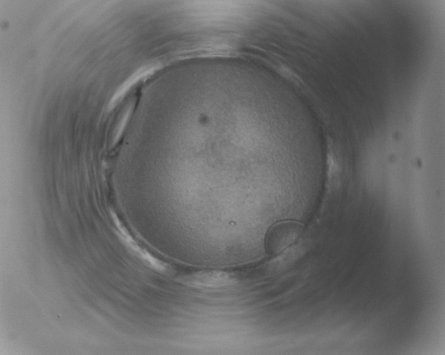 X0000051891450200507081926