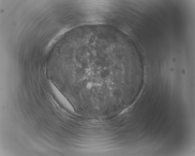 X0000051891451200507081926