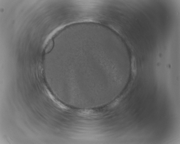 X0000051891452200507081926