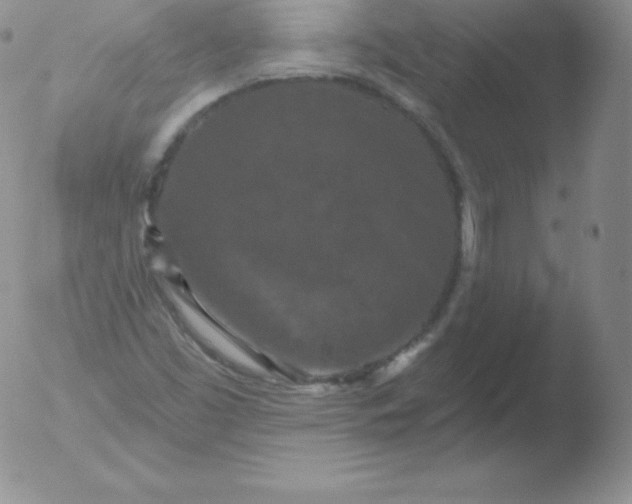 X0000051891453200507081926