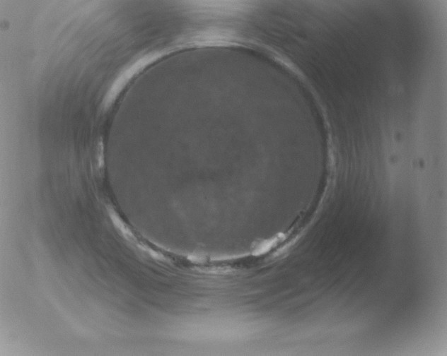 X0000051891461200507081926